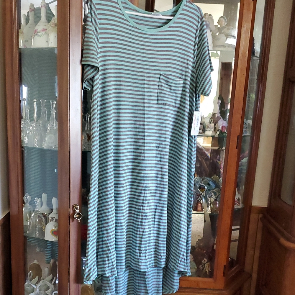 #DR10 (CH) NWT LuLaRoe Carly SwIng Dress.